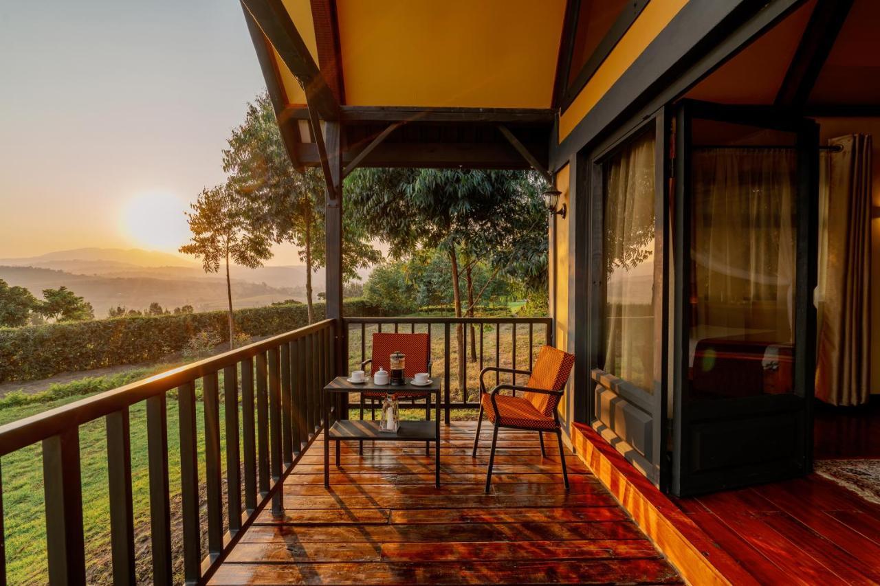 Shamba Lodge Cabin B Arusha Dış mekan fotoğraf