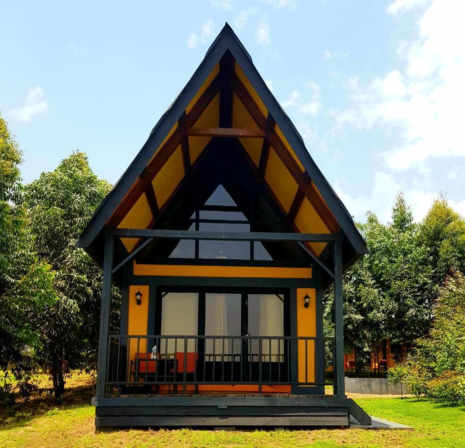 Shamba Lodge Cabin B Arusha Dış mekan fotoğraf